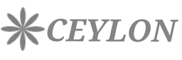 Celestial logo