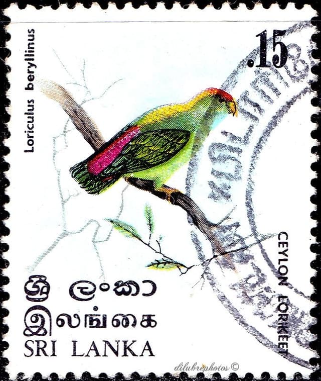 stamp image